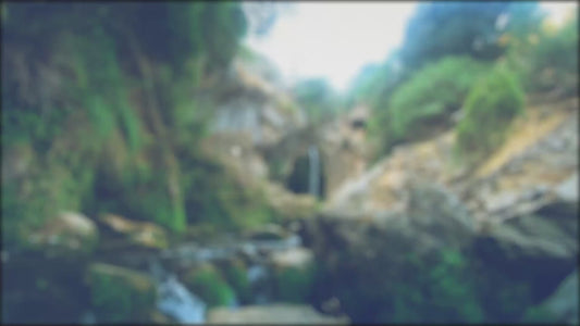 Magic Forest HD