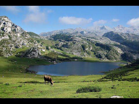 Mountain Gorge HD